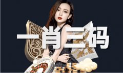鞋码换算公式（中国）IOS版手机APP官网下载V361