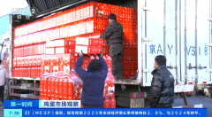 <b>鸡蛋消费进入旺季 蛋鸡养殖效好处于高程度 养殖</b>